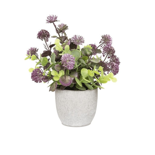 Blossom Bucket : Purple Round Flower With Stone -Like Pot -