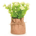 Blossom Bucket : White Large Petal Flower In Burlap Bag -