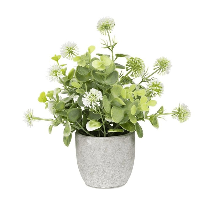 Blossom Bucket : White Round Flower With Stone -Like Pot -