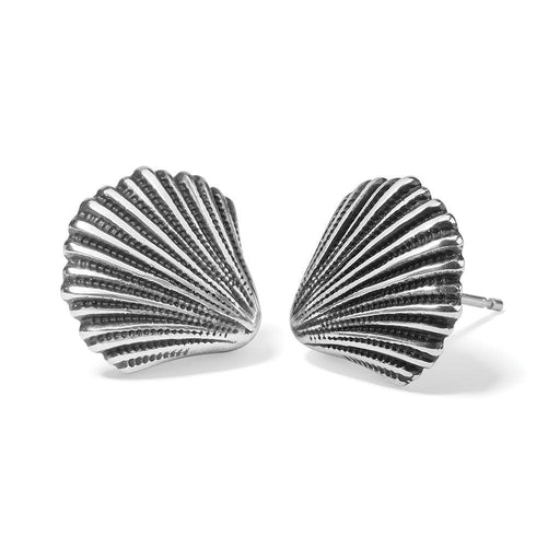 Brighton : Silver Shells Post Earrings -