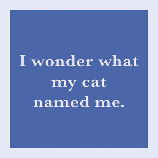 Drinks on Me : I Wonder What My Cat Named Me Coaster -