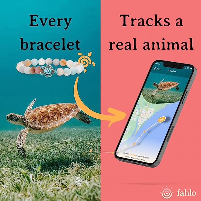 Fahlo : The Voyage Bracelet in Ocelli Stone - Fahlo : The Voyage Bracelet in Ocelli Stone