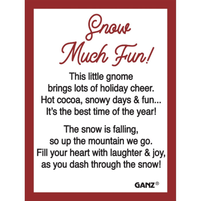 Ganz : Snow Much Fun Gnomes Charm - Ganz : Snow Much Fun Gnomes Charm