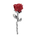 Ganz : The Red Rose Charm - Ganz : The Red Rose Charm