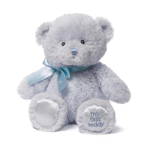 Gund : My First Teddy, Blue 10 In -