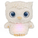Gund : Sleepy Eyes Owl Bedtime Soother, 8" -