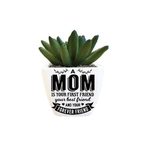H & H Gifts : Succulent - A Mom Is Your First Friend, Your Best Friend & Your Forever Friend -