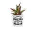H & H Gifts : Succulent - Always My Daughter, Forever My Friend -