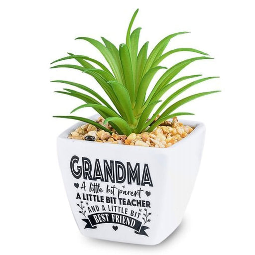 H & H Gifts : Succulent - Grandma - H & H Gifts : Succulent - Grandma