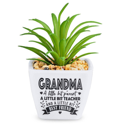 H & H Gifts : Succulent - Grandma - H & H Gifts : Succulent - Grandma