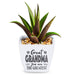 H & H Gifts : Succulent - Great Grandma - H & H Gifts : Succulent - Great Grandma