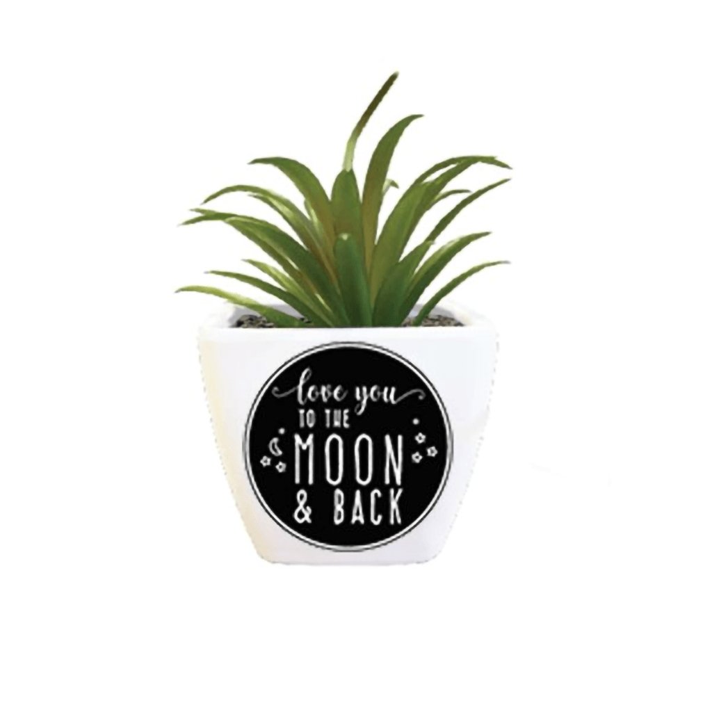 https://annieshallmark.com/cdn/shop/products/h-h-gifts-succulent-love-you-to-the-moon-and-back-160368_1200x1200.jpg?v=1681389672