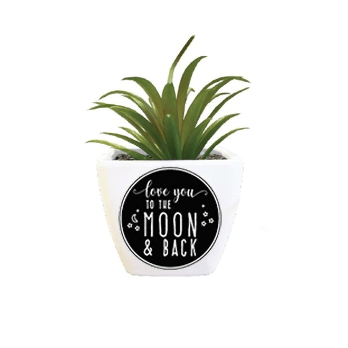 H & H Gifts : Succulent - Love You To The Moon And Back -