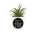 H & H Gifts : Succulent - Love You To The Moon And Back -