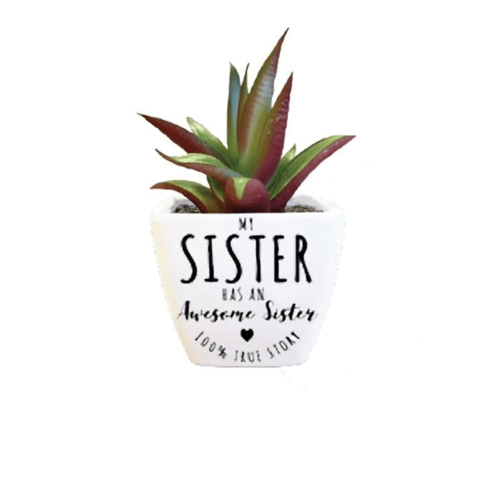 H & H Gifts : Succulent - My Sister Has An Awesome Sister, 100% True Stor -