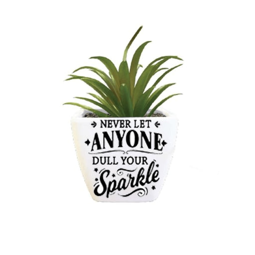 H & H Gifts : Succulent - Never Let Anyone Dull Your Sparkle -