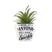 H & H Gifts : Succulent - Never Let Anyone Dull Your Sparkle -