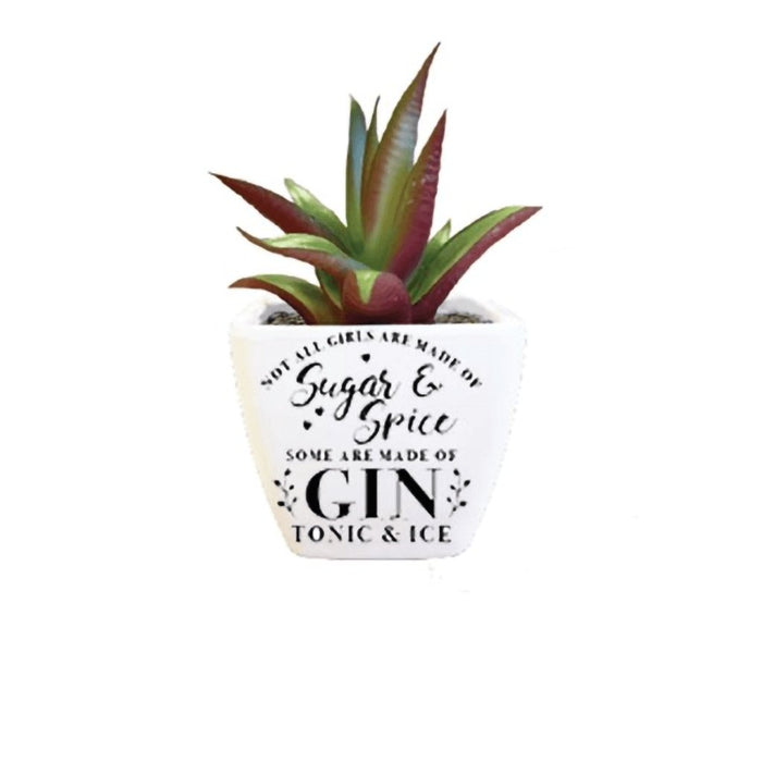 H & H Gifts : Succulent - Not All Girls Are Made Of Sugar & Spice -