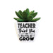 H & H Gifts : Succulent - Teacher - Thank You For Helping Me Grow -