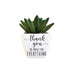 H & H Gifts : Succulent - Thank You So Much For Everything -