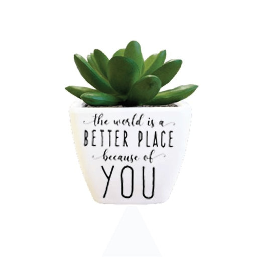 H & H Gifts : Succulent - The World Is Better Place Because Of You -