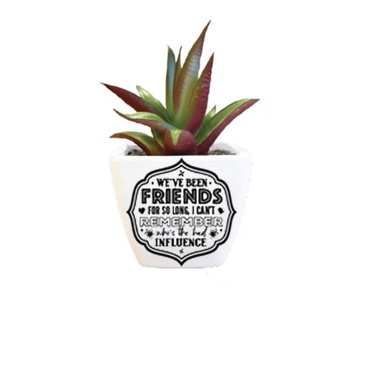 H & H Gifts : Succulent - We've Been Friends For So Long -