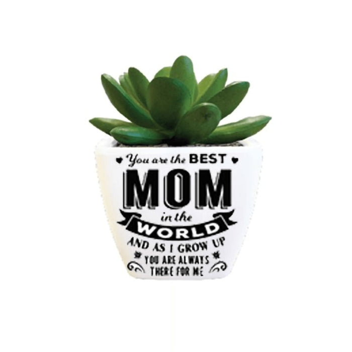 H & H Gifts : Succulent - You Are The Best Mom -