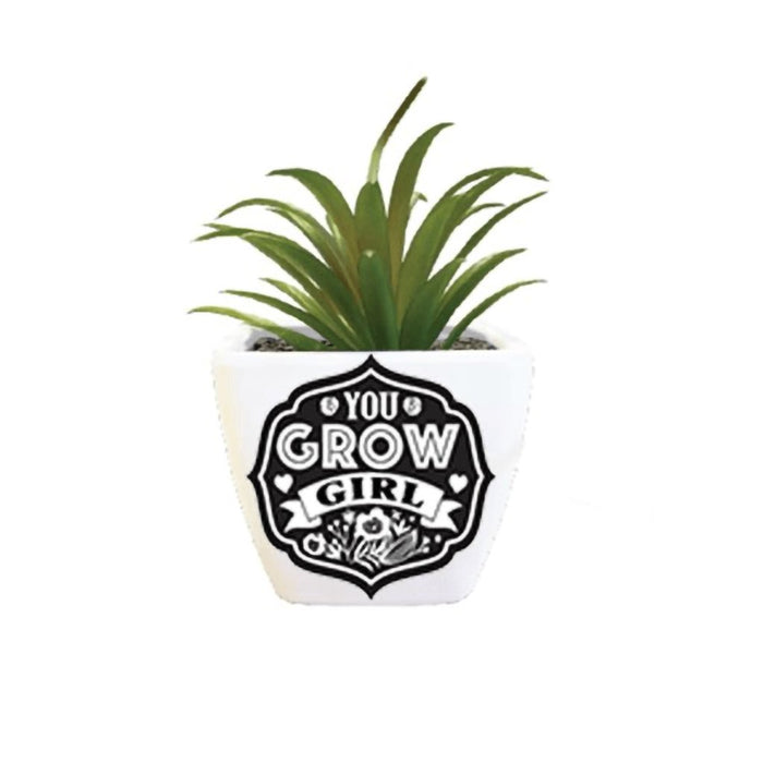H & H Gifts : Succulent - You Grow Girl -