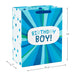 Hallmark : 13" Birthday Boy Blue Stripes Large Gift Bag -