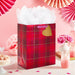 Hallmark : 13" Metallic Red Plaid Large Valentine's Day Gift Bag - Hallmark : 13" Metallic Red Plaid Large Valentine's Day Gift Bag