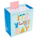 Hallmark : 15" It's Your Day Extra-Deep Gift Bag -