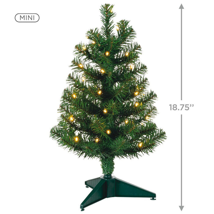 Hallmark : 2023 Keepsake Miniature Evergreen Pre-Lit Christmas Tree, 18.75" (429) - Hallmark : 2023 Keepsake Miniature Evergreen Pre-Lit Christmas Tree, 18.75" (429)