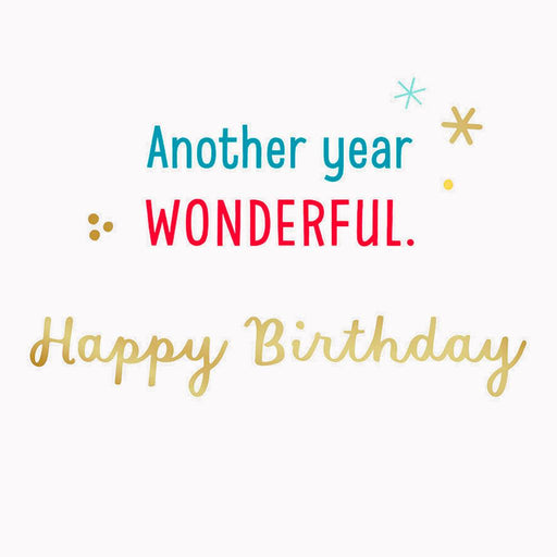 Hallmark : Another Year Wonderful Video Greeting Birthday Card -
