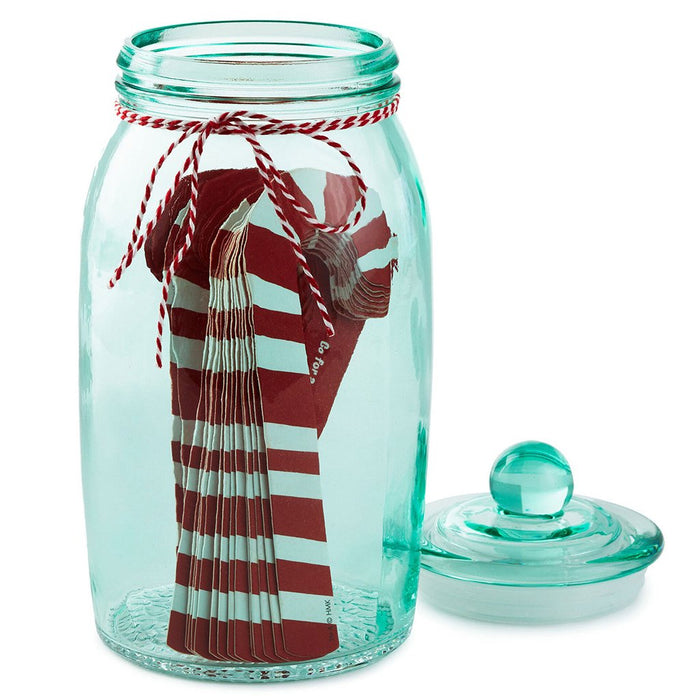 https://annieshallmark.com/cdn/shop/products/hallmark-christmas-activities-prompted-jar-with-25-candy-cane-papers-891470_700x700.jpg?v=1698704905