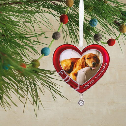 Hallmark : Pet Memorial Metal Photo Frame Hallmark Ornament - Hallmark : Pet Memorial Metal Photo Frame Hallmark Ornament