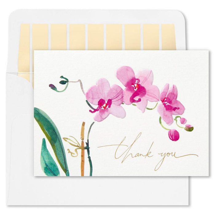 Hallmark : Pink Orchid Blank Thank-You Notes, Box of 10 -