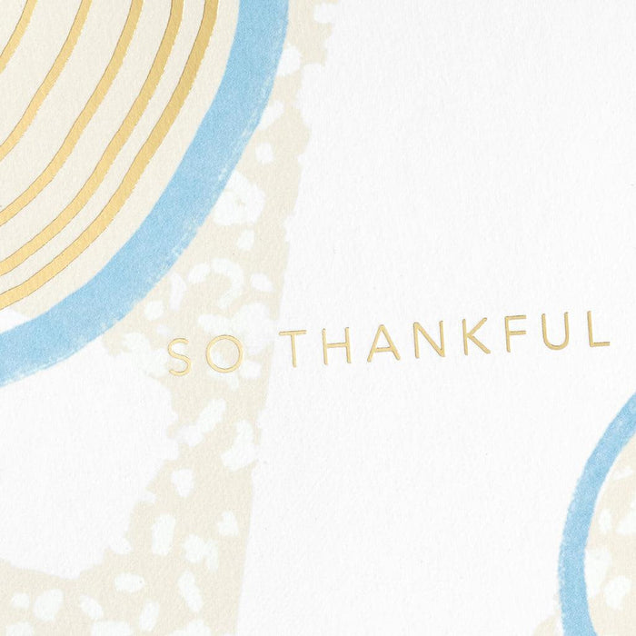 Hallmark : So Thankful Thank-You Notes, Box of 10 -