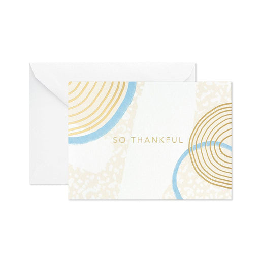Hallmark : So Thankful Thank-You Notes, Box of 10 -