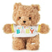 Hallmark : Welcome Baby Recordable Teddy Bear Stuffed Animal, 8.75" -