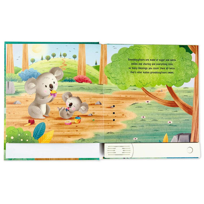 Hallmark : What Are Granddaughters Made Of? Recordable Storybook -