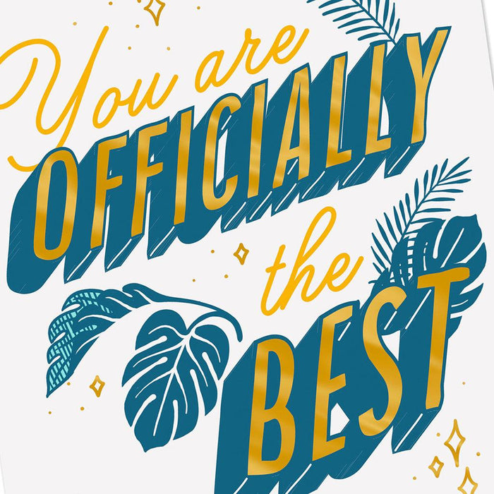 Hallmark : You Are the Best Video Greeting Thank-You Card -