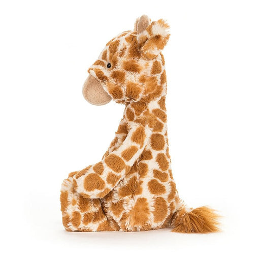 Jellycat : Bashful Giraffe - Jellycat : Bashful Giraffe