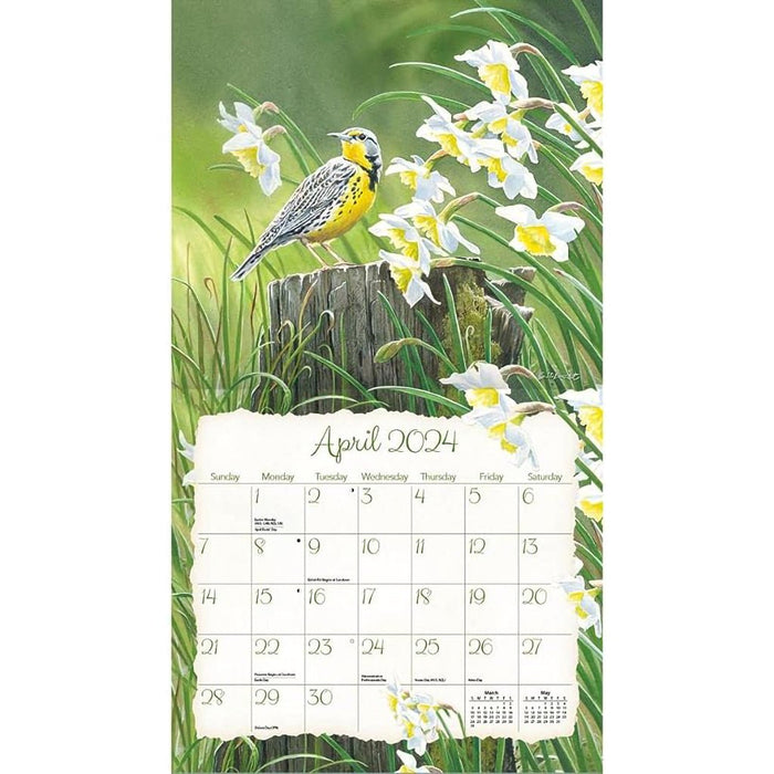 Lang : Songbirds 2024 Wall Calendar - Lang : Songbirds 2024 Wall Calendar