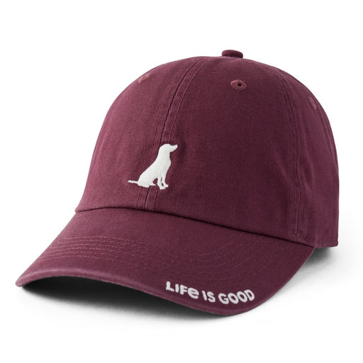Life Is Good : Wag On Lab Chill Cap - Life Is Good : Wag On Lab Chill Cap