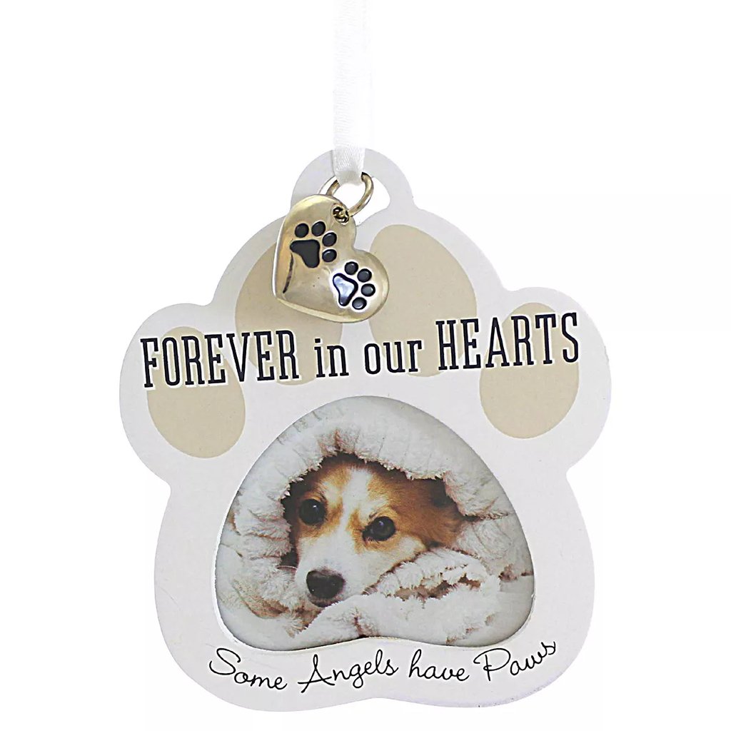 https://annieshallmark.com/cdn/shop/products/malden-forever-in-our-hearts-pet-memorial-ornament-207895_1200x1200.jpg?v=1699488239