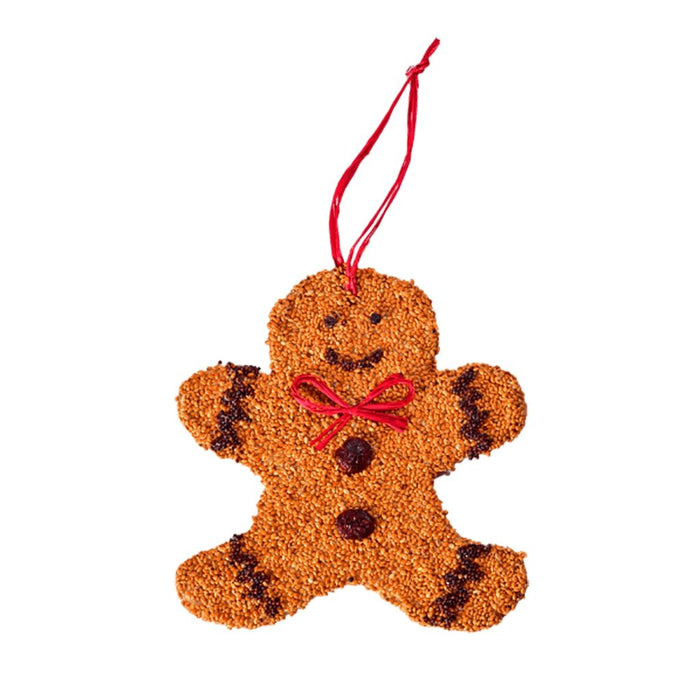 https://annieshallmark.com/cdn/shop/products/mr-bird-gingerbread-man-christmas-cookie-538176_700x700.jpg?v=1681475976