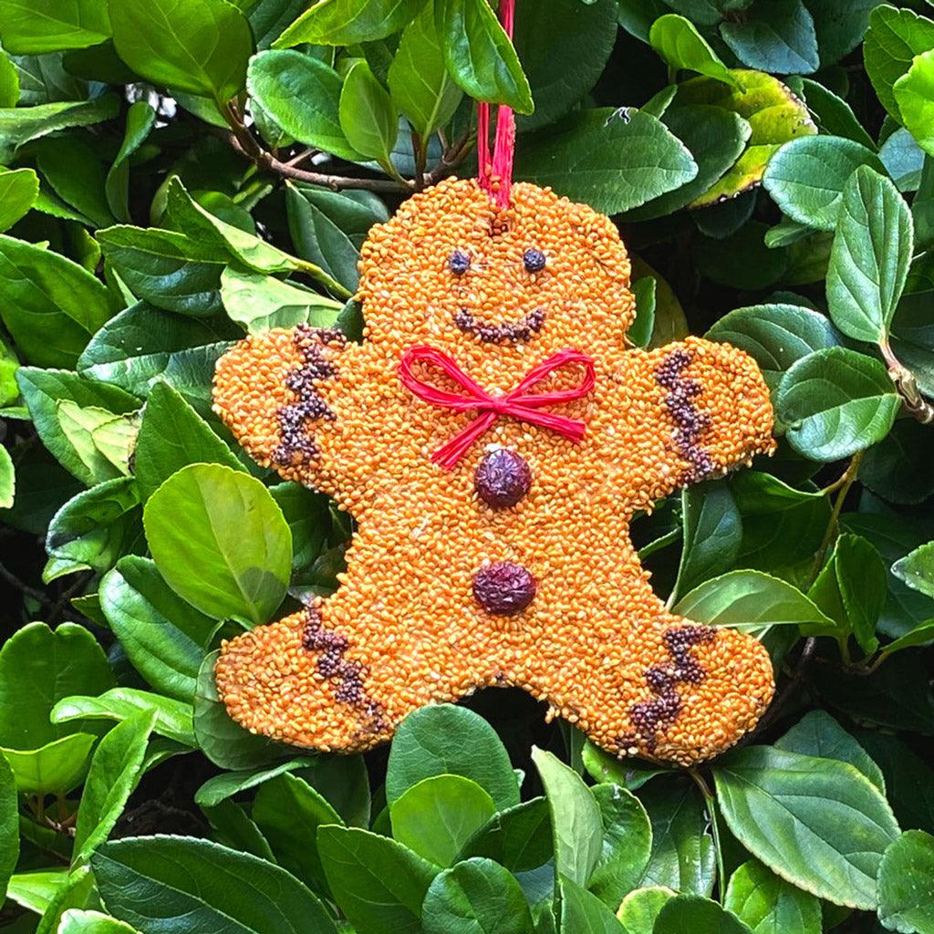 https://annieshallmark.com/cdn/shop/products/mr-bird-gingerbread-man-christmas-cookie-831629_1200x1200.jpg?v=1681475976