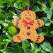 Mr. Bird : Gingerbread Man Christmas Cookie -