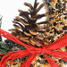 Mr. Bird : Wildfeast Bird Seed Wreath - Wildfeast Bird Seed Wreath - Annies Hallmark and Gretchens Hallmark, Sister Stores