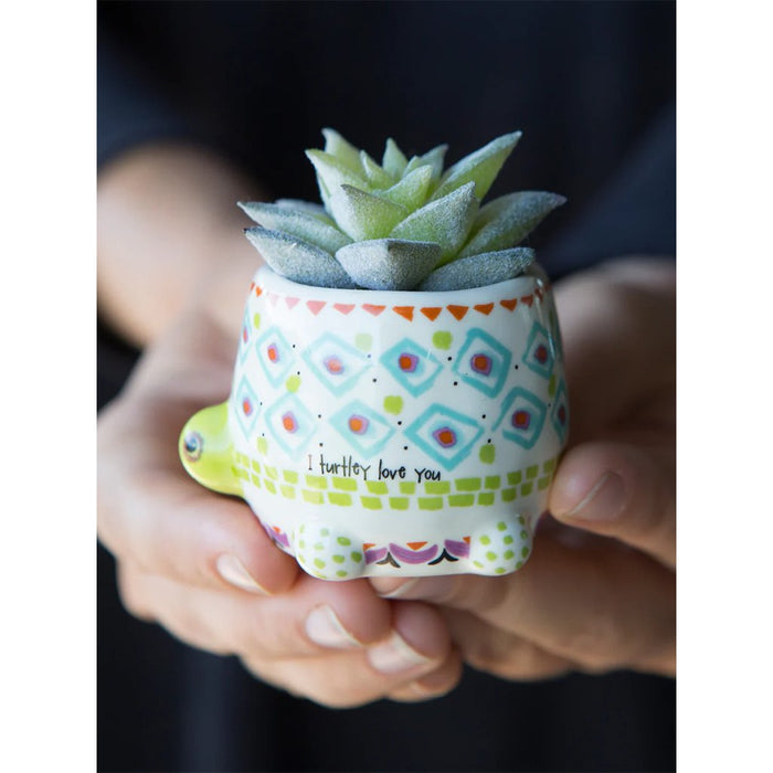 Natural Life : Tiny Faux Succulents - Turtle - Natural Life : Tiny Faux Succulents - Turtle